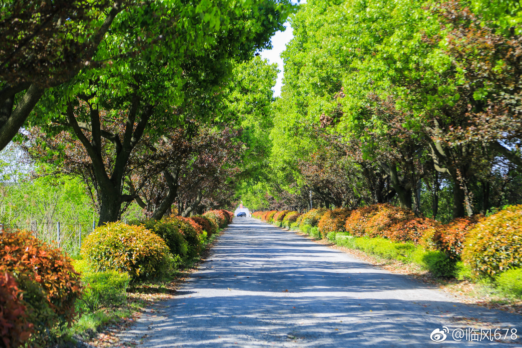 春天的色彩余杭秀山美地