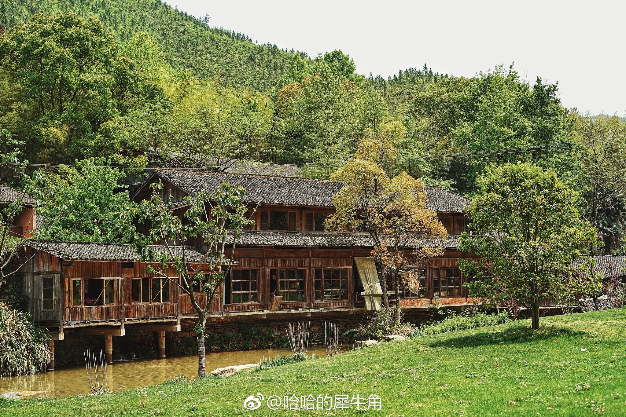 景德镇三宝村鸟鸣泉声 绿树近山 清幽雅致的世外桃源想在这里住下