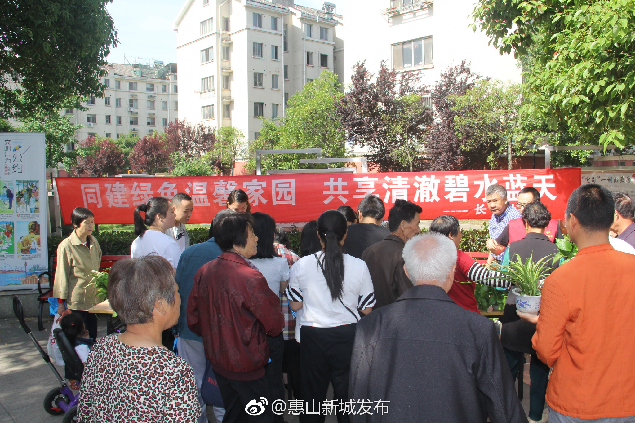 长宁社区:开展废旧电池换绿植活动