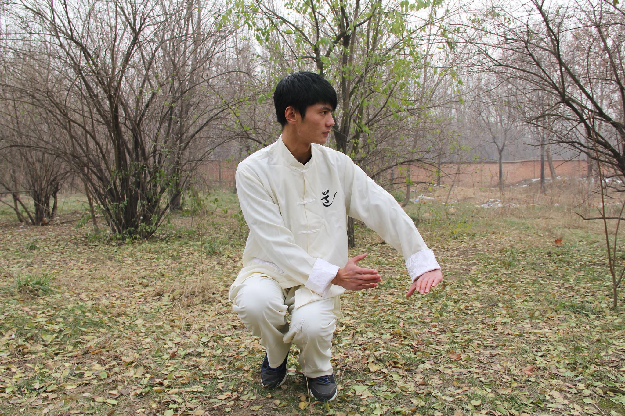 两仪拳点穴混元功养生与却疾