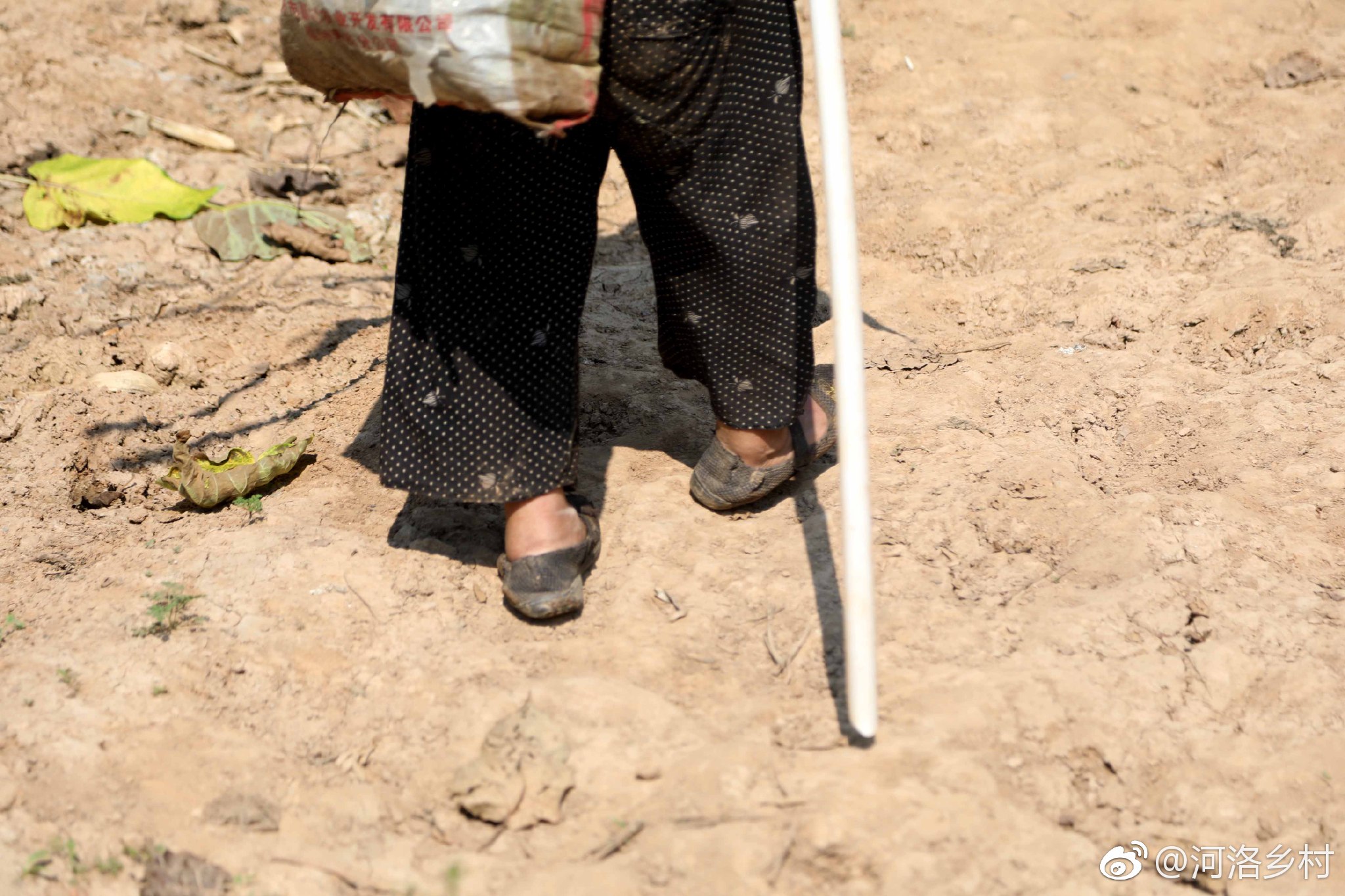 75岁老人步履蹒跚捡柴烧饭,住在土窑洞里,一人孤独晚年,想哭