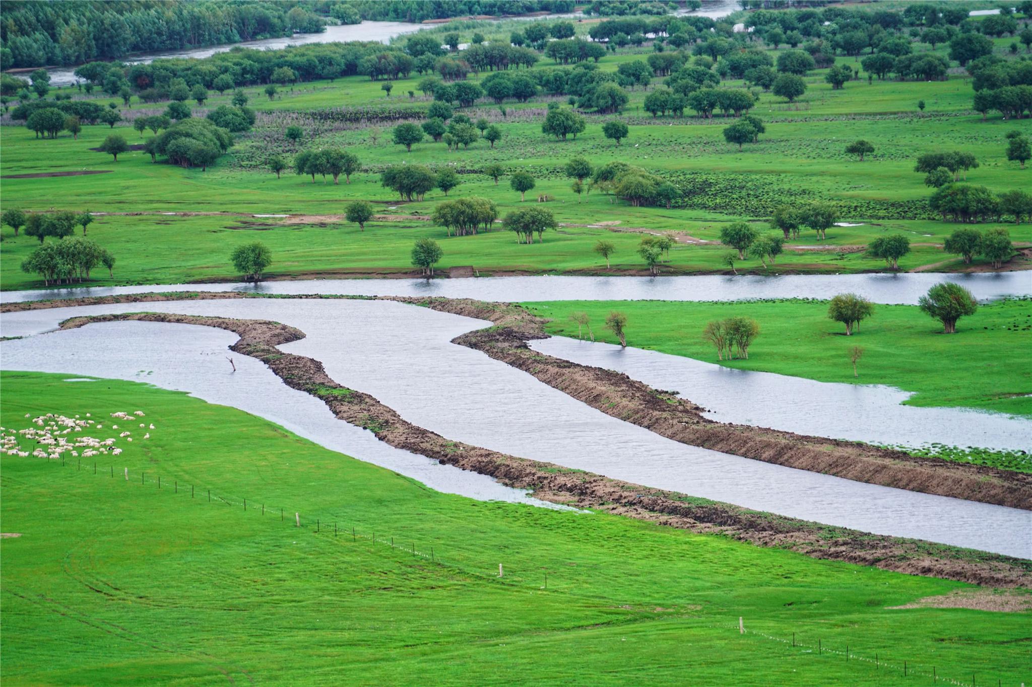 大地在呼伦贝尔留下一幅绚丽的油彩画,这就是根河湿地公园