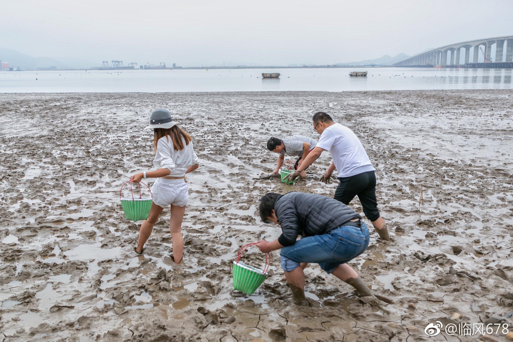 台州三门蛇蟠岛的滑泥公园,是在滩涂上开辟的一个游乐场