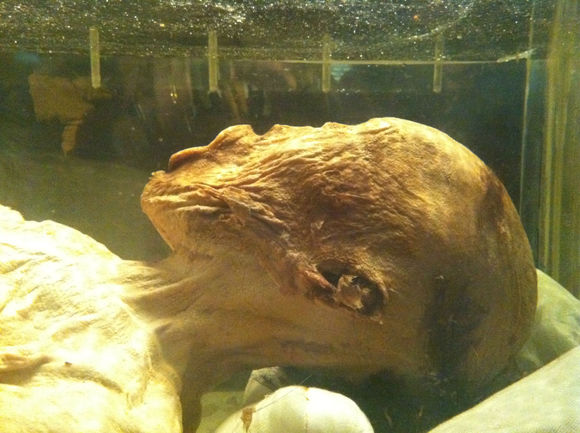 古墓出土一具浸泡粉红色液体湿尸和35件织品检测结果让专家吃惊