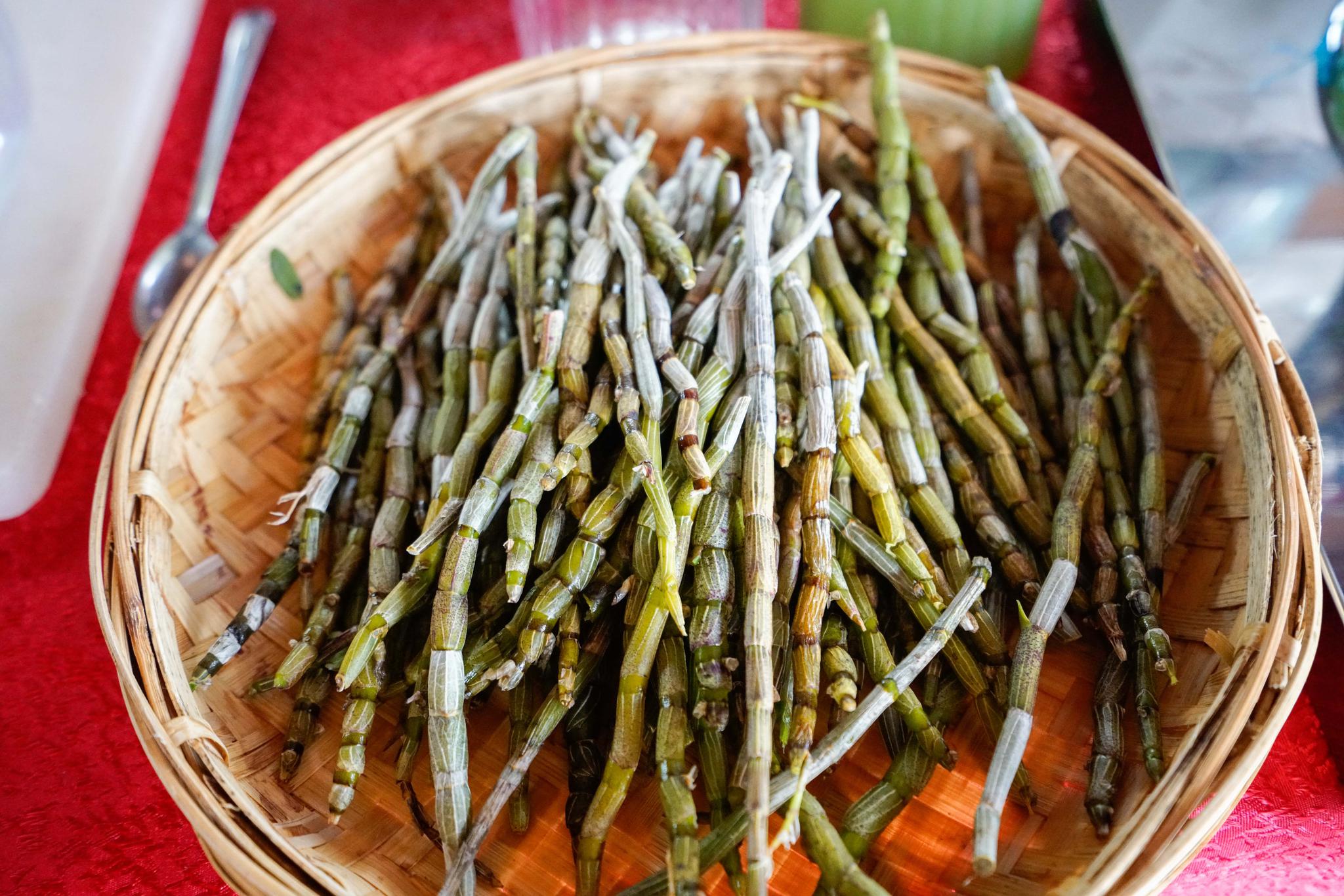 去普洱喝普洱茶喝石斛汁吃野生蜂巢蜜味同嚼蜡是怎样的体验