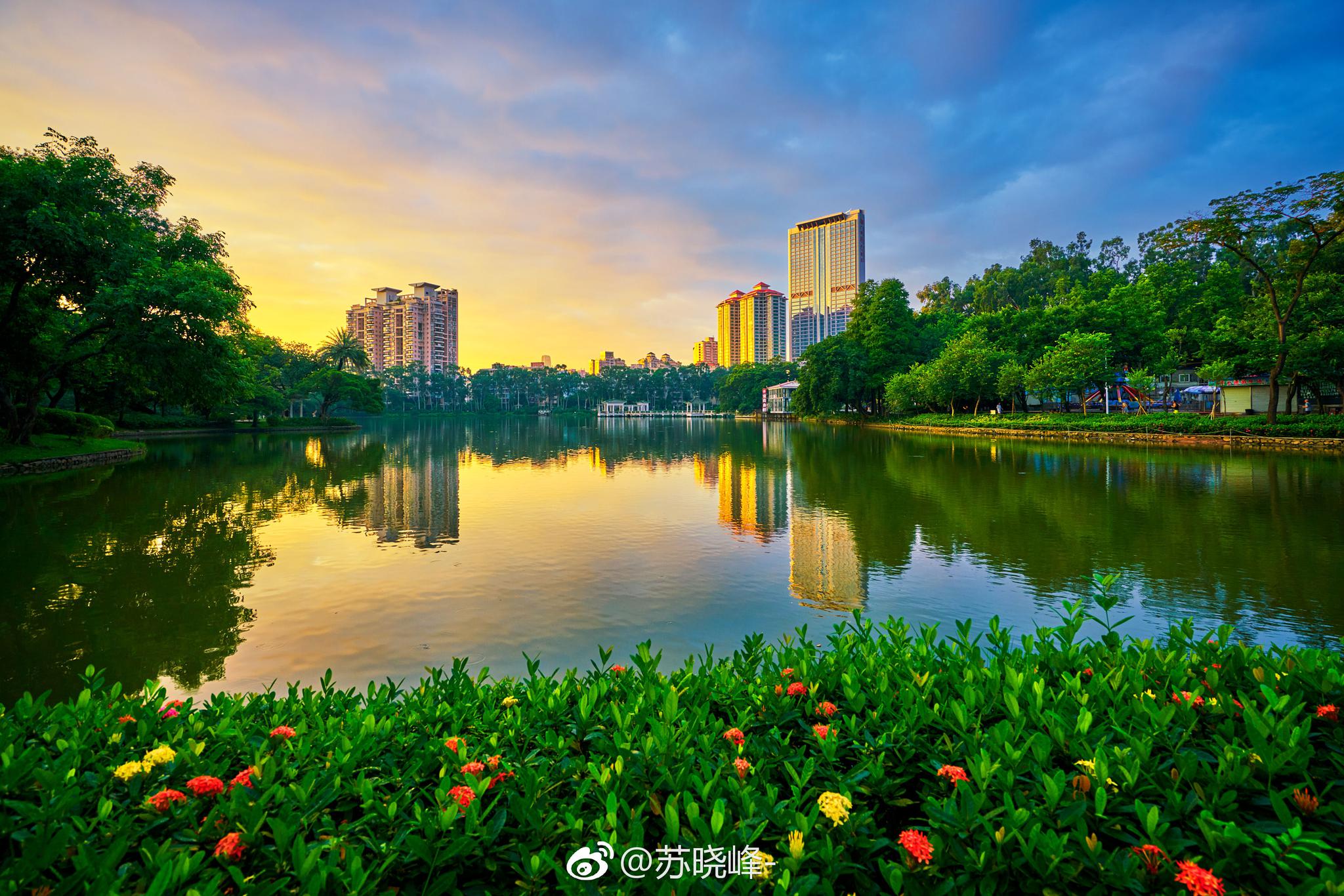 广州天河公园晨光