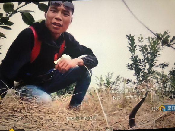 主播"蛇哥"空手捕毒蛇,网友:用命在直播