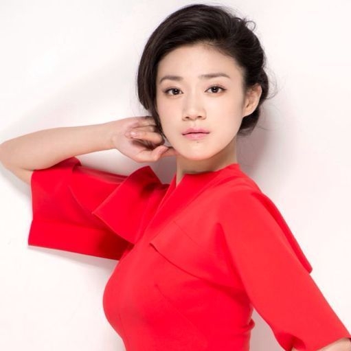 她被赵宝刚导演力捧演奋斗出名如今36岁却还是单身