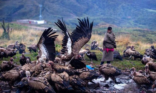 西藏之行: 偶遇奇特葬俗——水葬