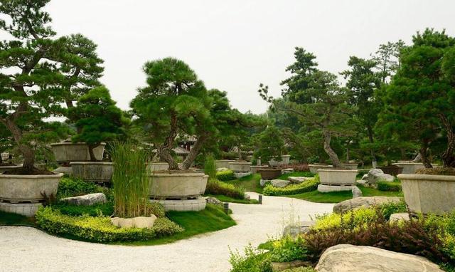 西安杜陵塬上的盆景园林