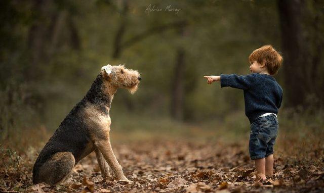 猫给孩子理发, 狗听孩子讲课! 快看奶爸镜头下的孩子和动物