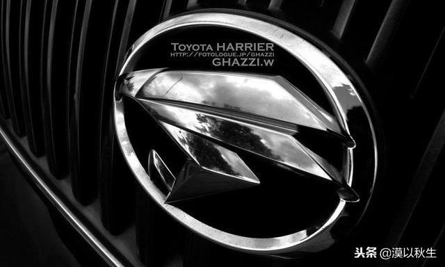 丰田又一个高端品牌来了,"鹰标",首款suv或18万起-新浪汽车