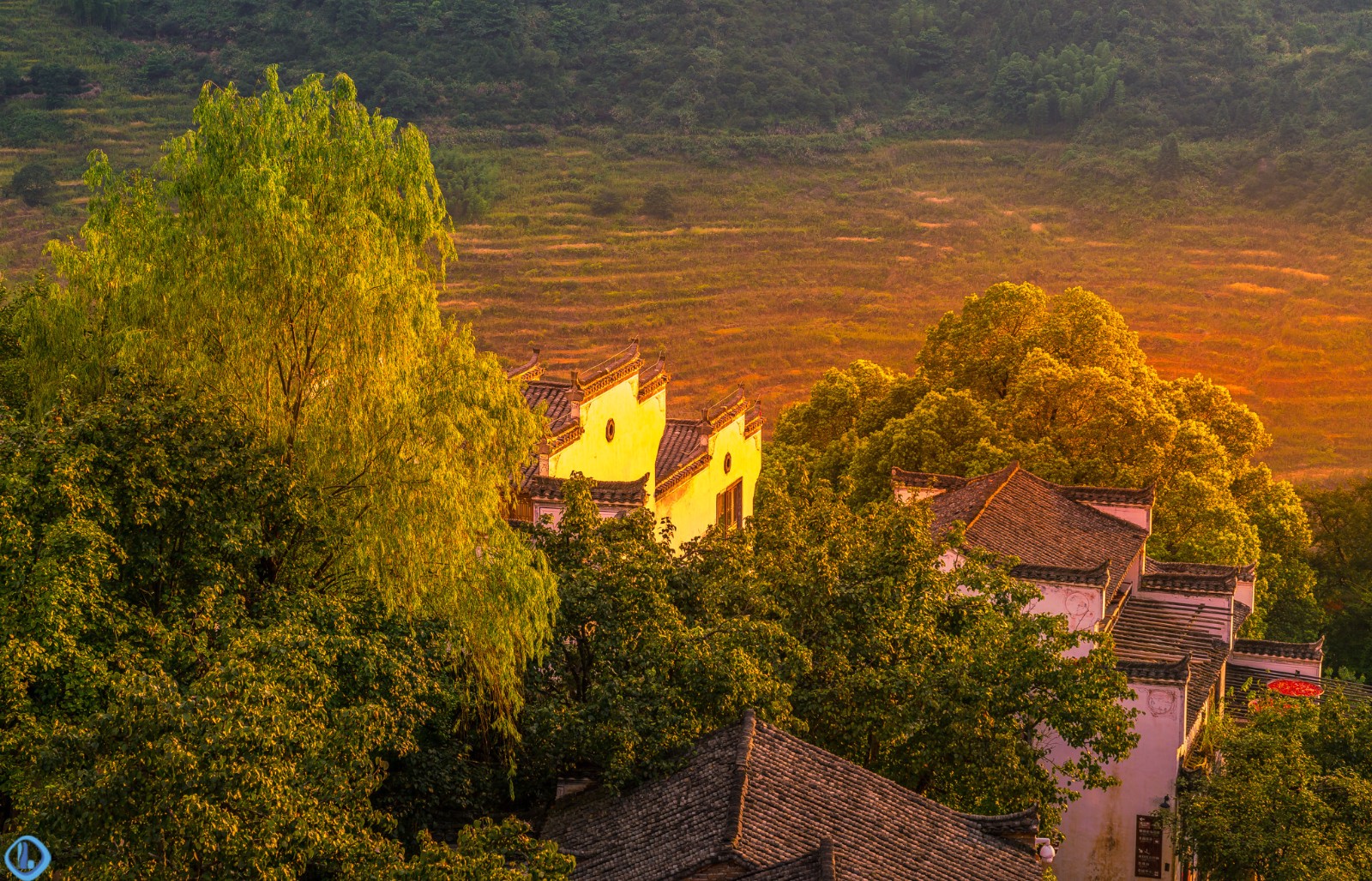 夕阳余晖下的篁岭古村