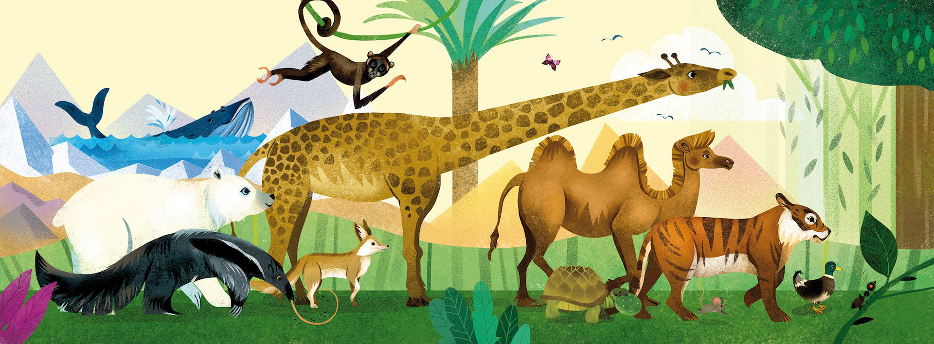 childrensanimalbook儿童动物书籍插图作品来自画师saraugolott