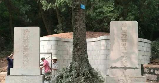 姜维最大的敌人就是邓艾,而灭掉了蜀汉政权的,就是这位邓大将军.