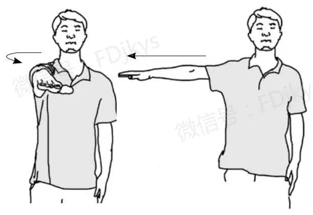 打网球扣杀动作:将肩从外旋迅速转为内旋.