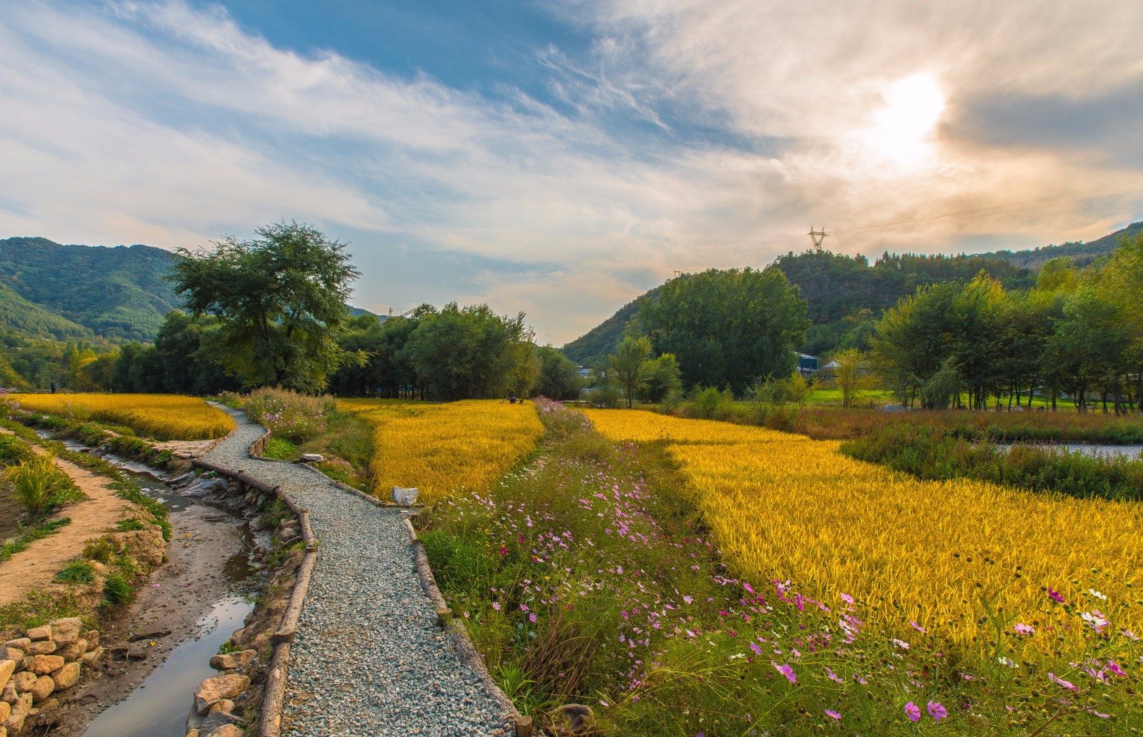 这个地方的稻田私藏了承德醉美的秋天