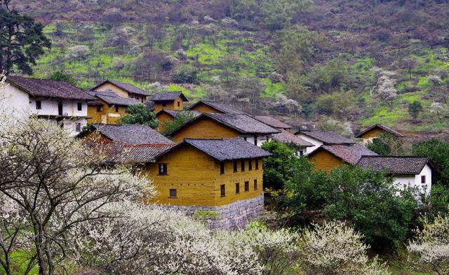 2018年起,以下3类村庄,不在农村统一规划建设中,有你老家吗?