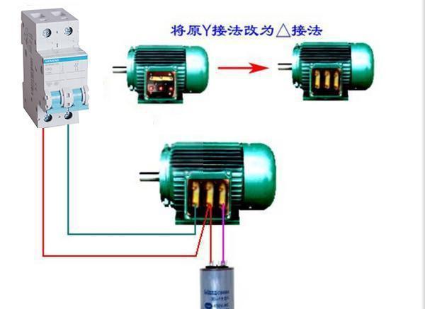 不是说电鳗能电死一头牛么?那么它能扛住电鱼机的电吗...
