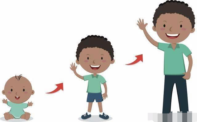 宝宝的头型暗示着宝宝的身高这种头型的孩子长大后低不了