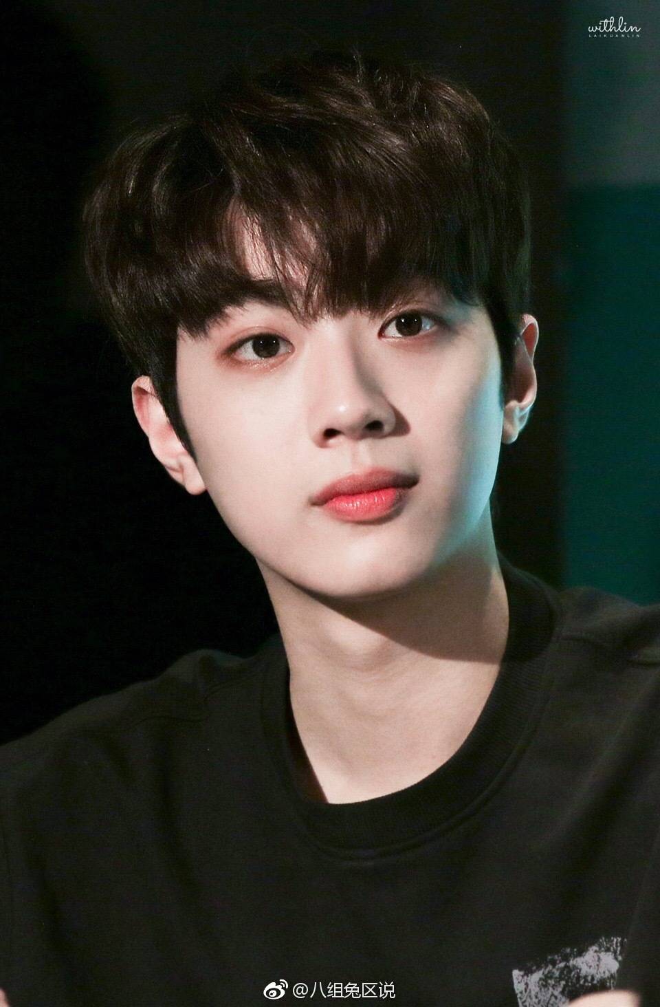 鹅组总结的鲶鱼系长相明星:倪妮,林允,赖冠霖,木子洋,jennie