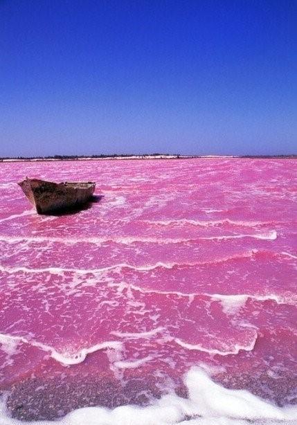 它被称为世界上最性感的海滩, 它是哈勃岛粉色沙滩
