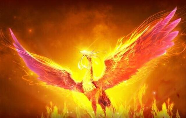 龙和凤凰这两种传说的生物真的存在过吗