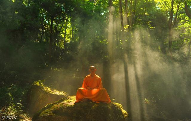 菜根谭值得反复阅读的句子