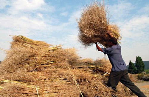 8月1日起,焚烧秸秆最高罚2000元,严重者追究刑事责任