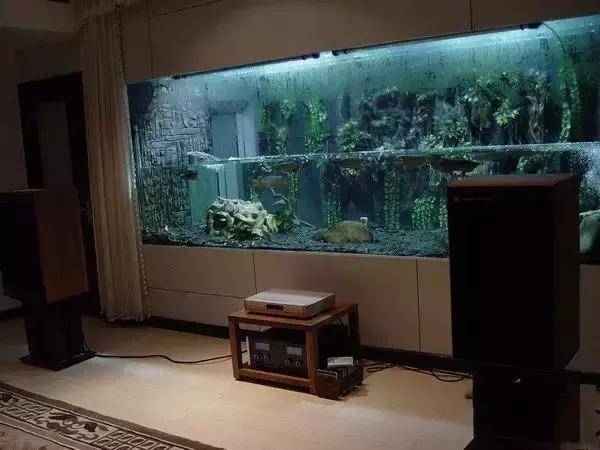 鱼缸|柴油|水泵_新浪新闻