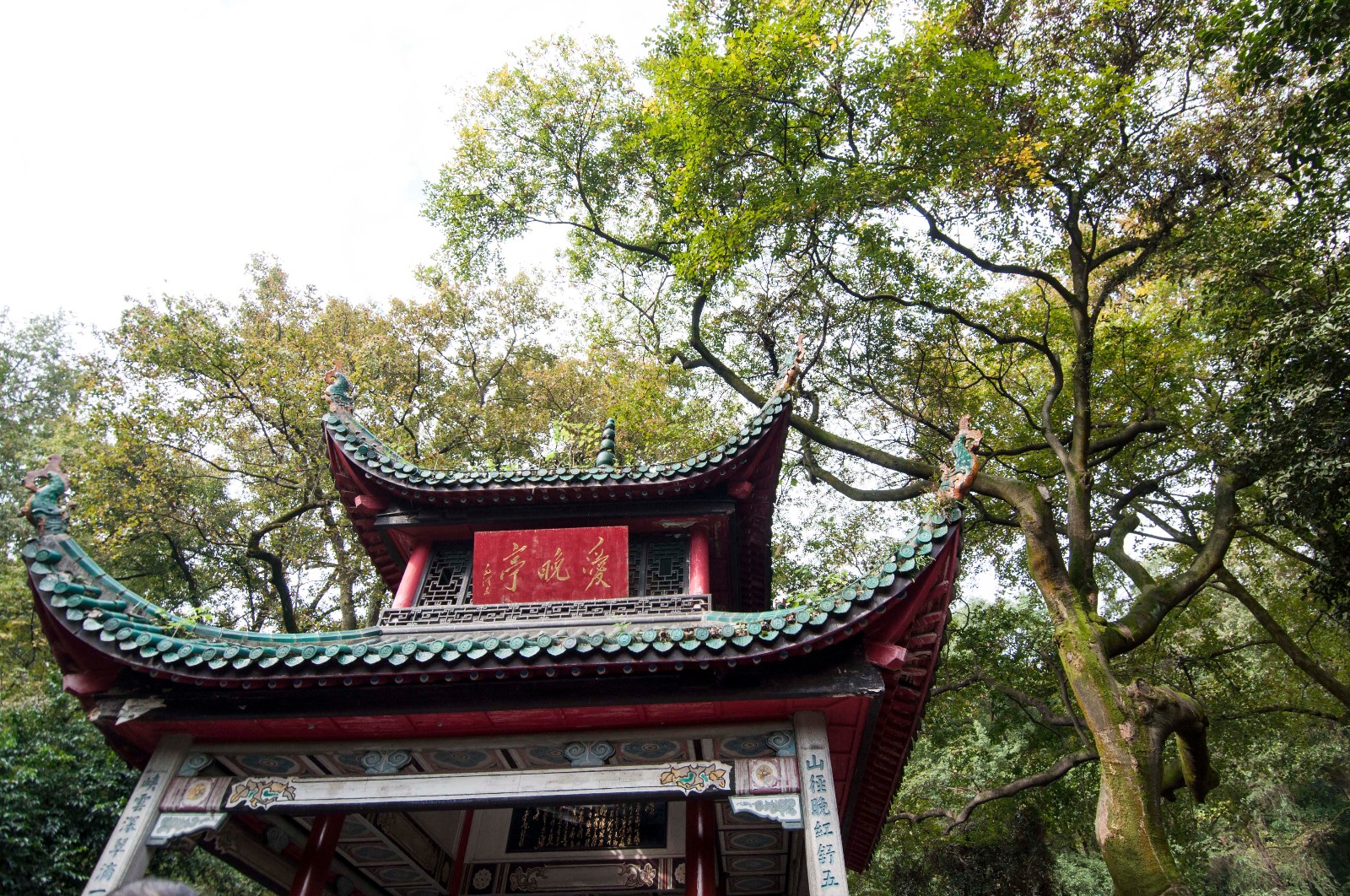 湖南长沙:又到每年赏景时 岳麓山秋意逐渐浓