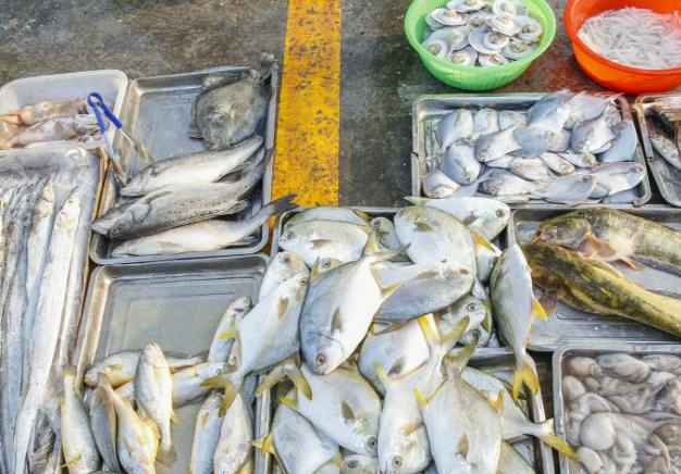 小田卖的鱼都很好,吸引了很多老主顾.