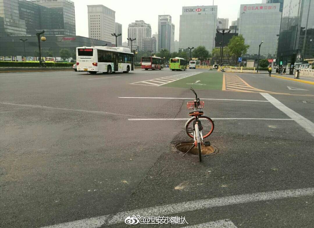 寻猫经验分享 寻猫过程中如何高效找到猫咪