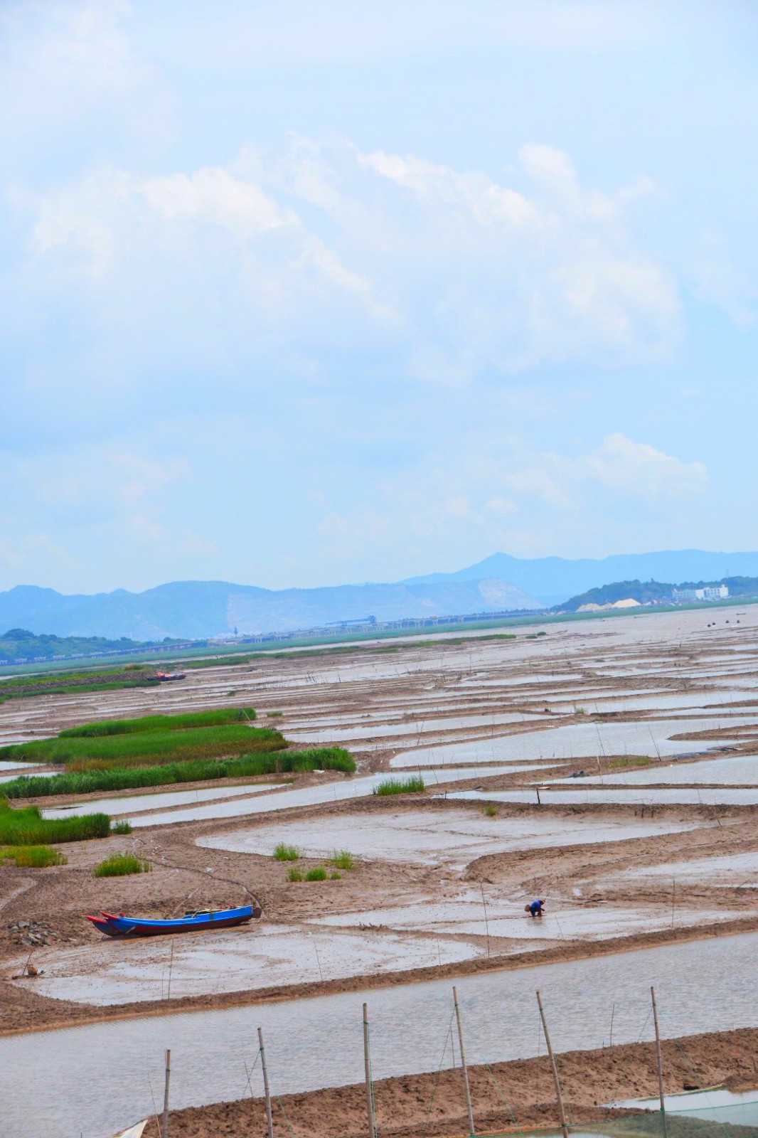 第一次见海边滩涂,太美了