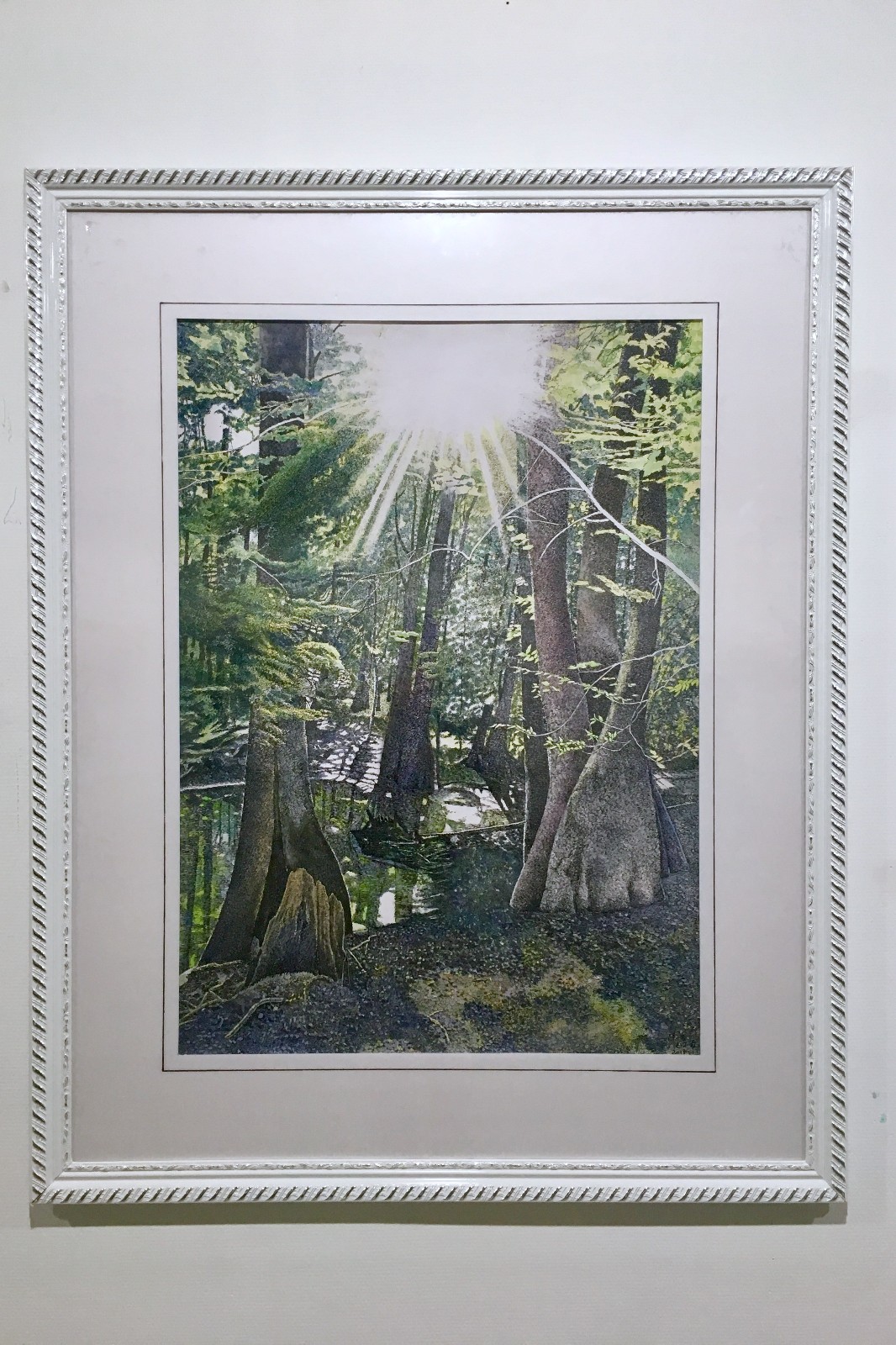 独特的美--毛才奇钢笔画作品展【湖北美术馆 2018.10.10-21日】