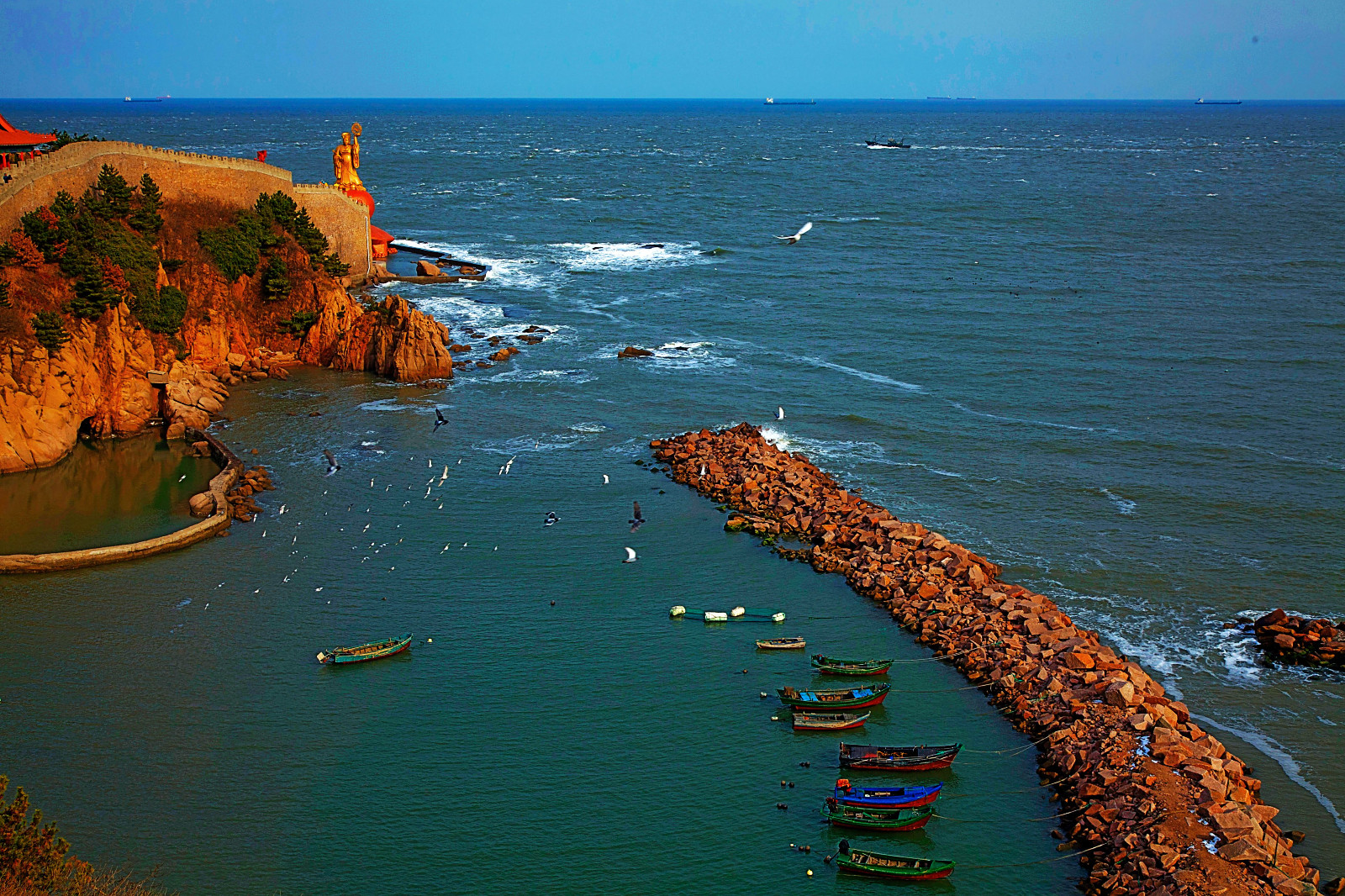 东海佛乐地 胶东好运角