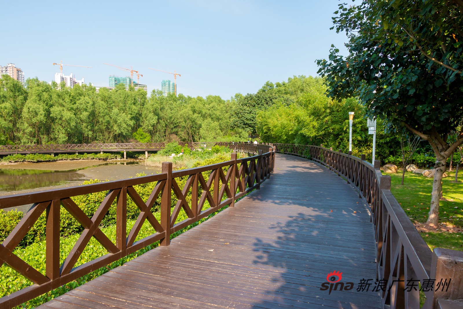 美景顺应天时 "探访"实拍大亚湾一日四时之景