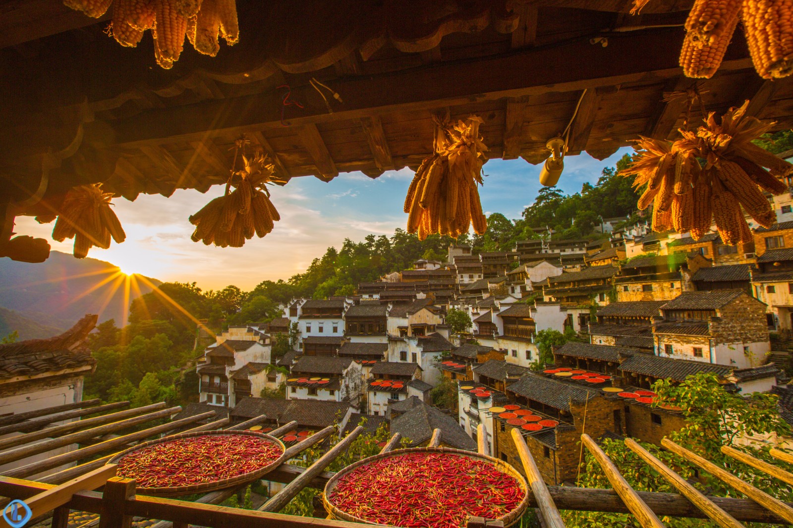 篁岭晒秋,屋顶上的古村美景|古村|竹匾|婺源篁岭_新浪新闻