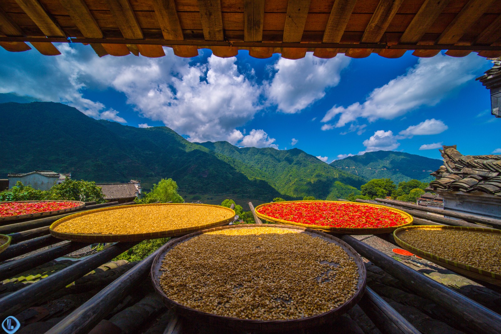 篁岭晒秋,屋顶上的古村美景|古村|竹匾|婺源篁岭_新浪新闻
