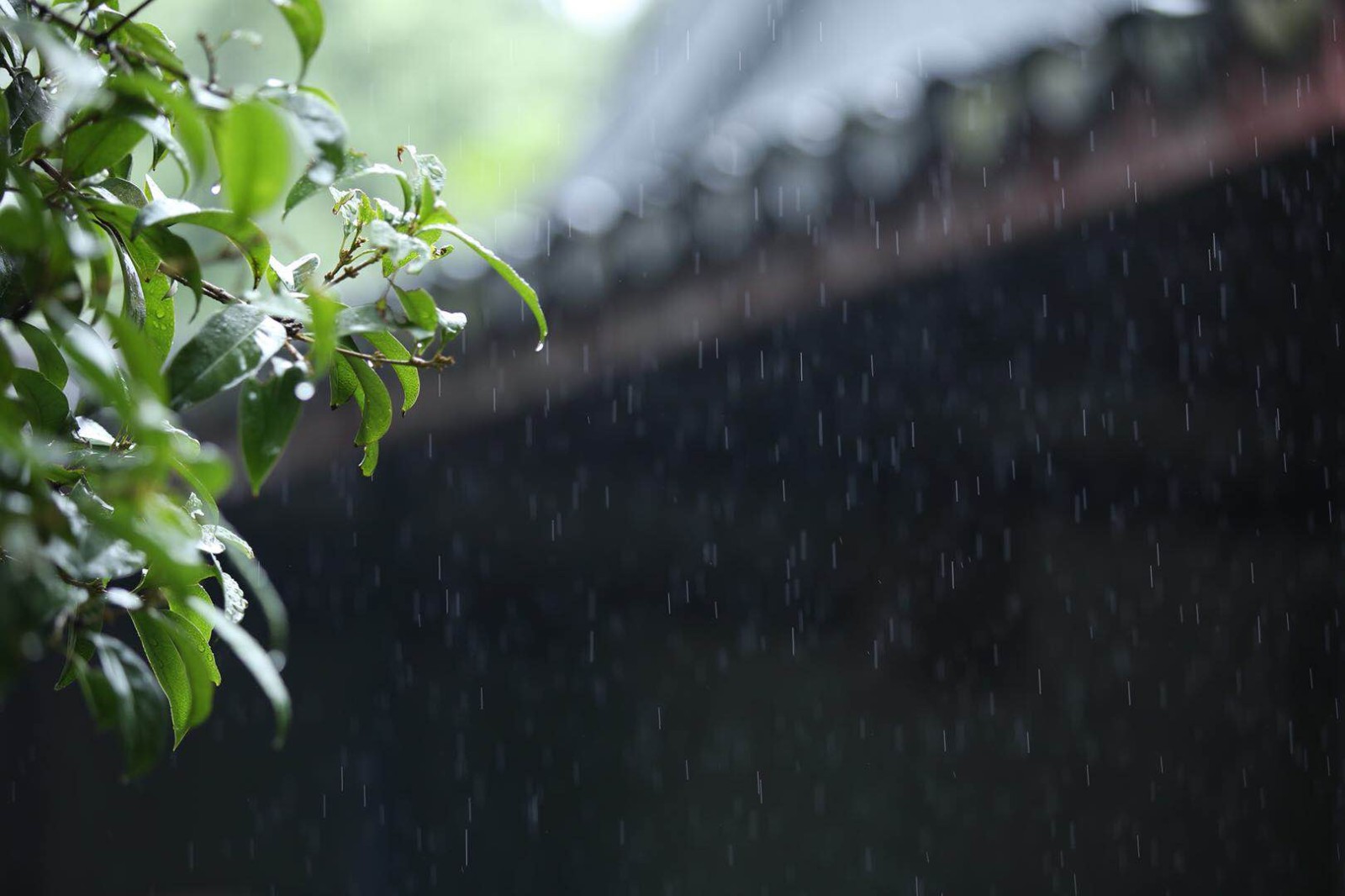 江南的雨和江南的瓦当,一副唯美的中国风