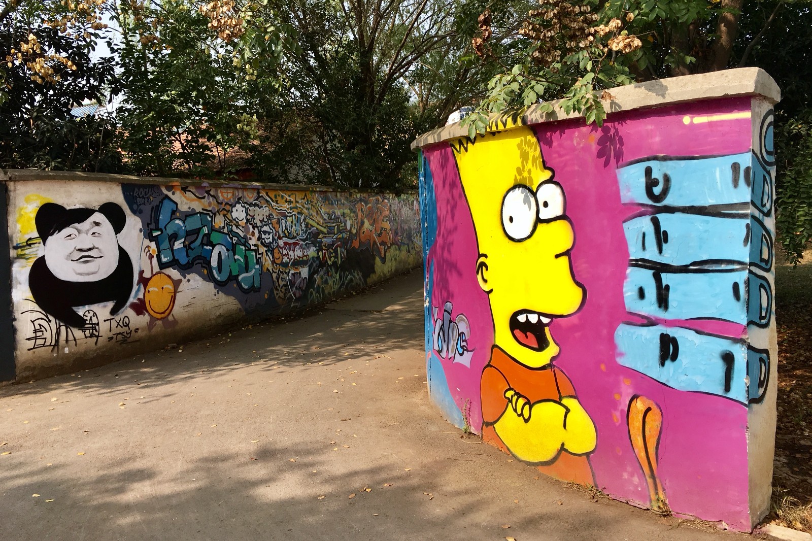 街头涂鸦03湖北武汉华中农业大学校园1