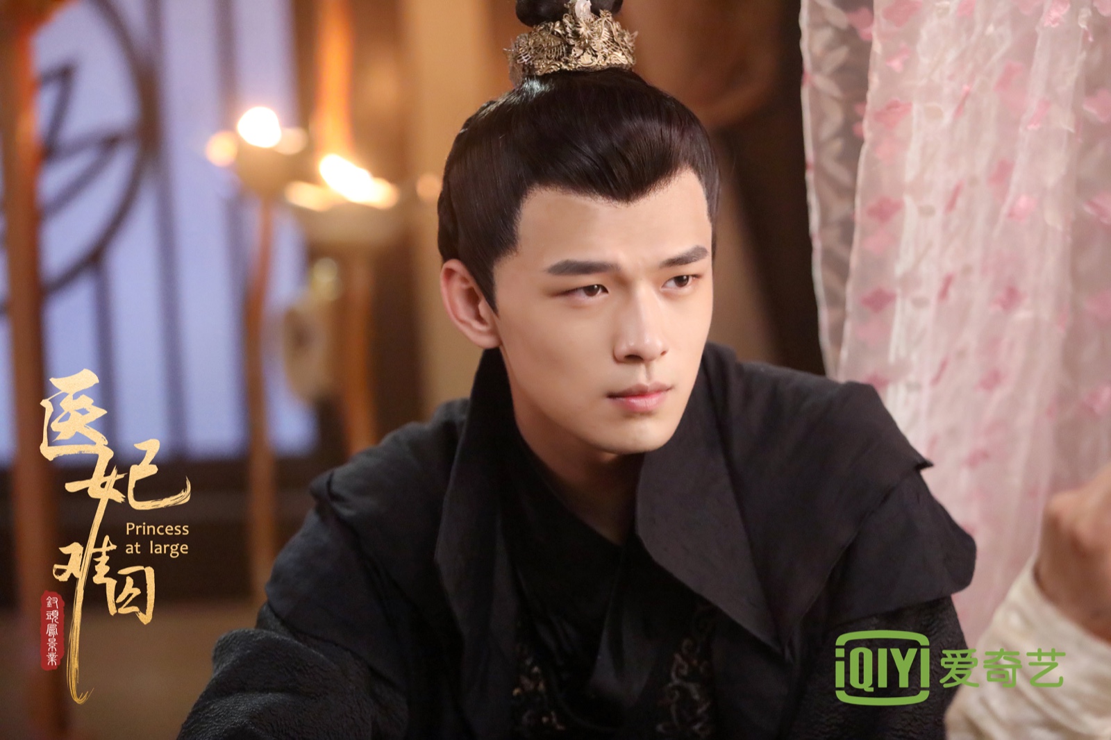 剧中的角色是由盛英豪,杨安琪,李明源,高寒等一众年轻演员主演,这部剧