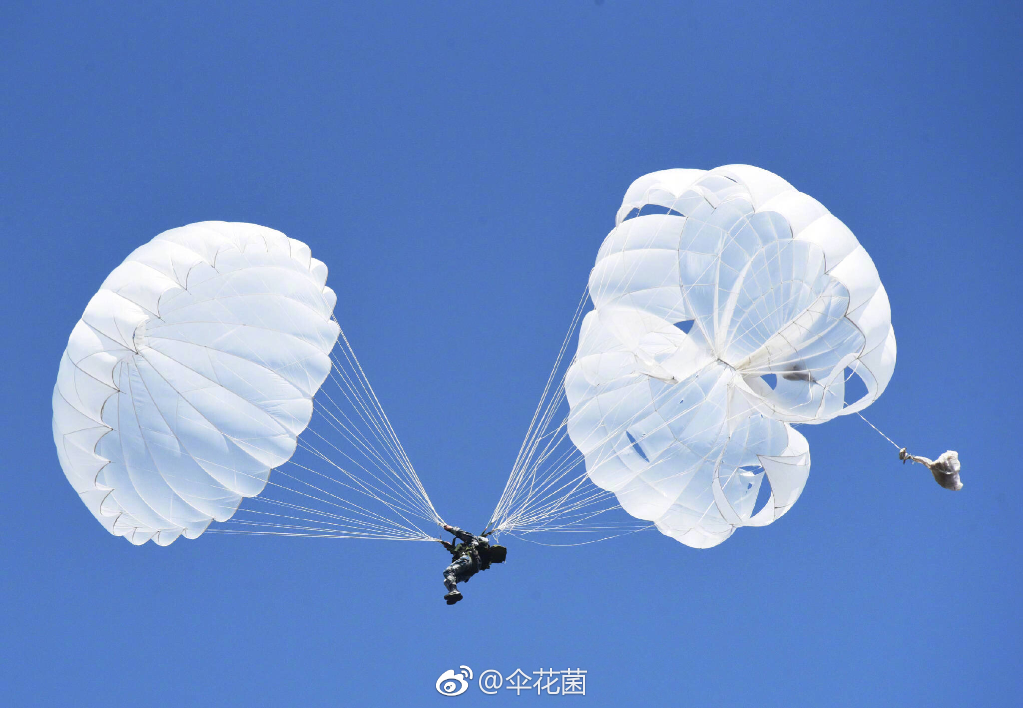 伞花朵朵丨蓝天"炫技",看空降兵演绎天空浪漫