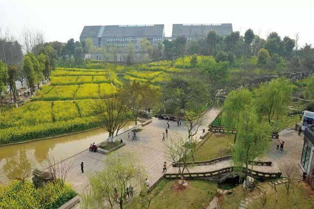 重庆市的四川美术学院,听起来有点奇怪,看起来有点