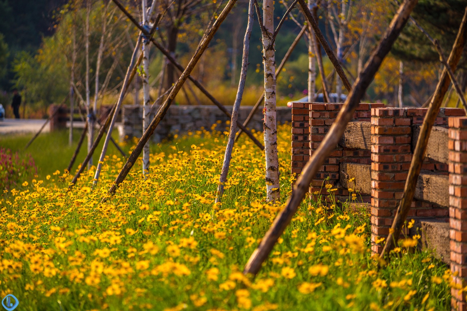 河北承德热河饮马川最美秋天来临了