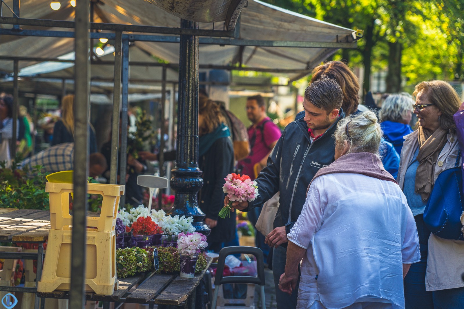 荷兰乌得勒支的临时花卉交易市场