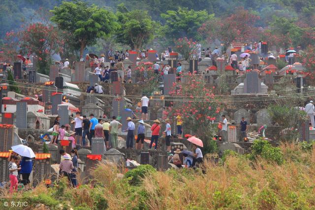 清明节到了,能不能带小宝宝去扫墓祭拜先人呢?