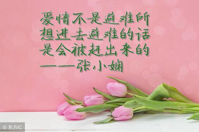 再见了,我曾经最爱的人