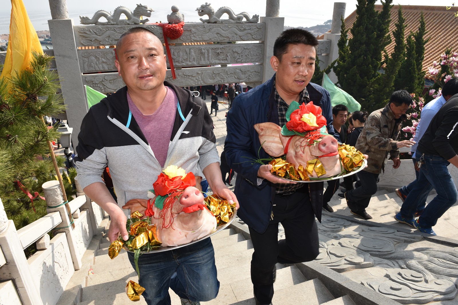 10几头大猪披红戴花供奉，渔民传承千年民俗祭海|谷雨|龙王庙|渔民|开洋|谢洋_新浪新闻