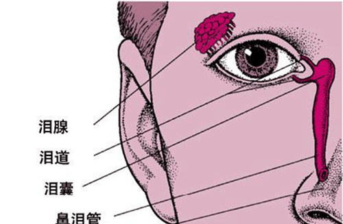 新生儿泪囊炎按摩手法图解 简单实用|泪囊炎|鼻泪管|新生儿_新浪新闻